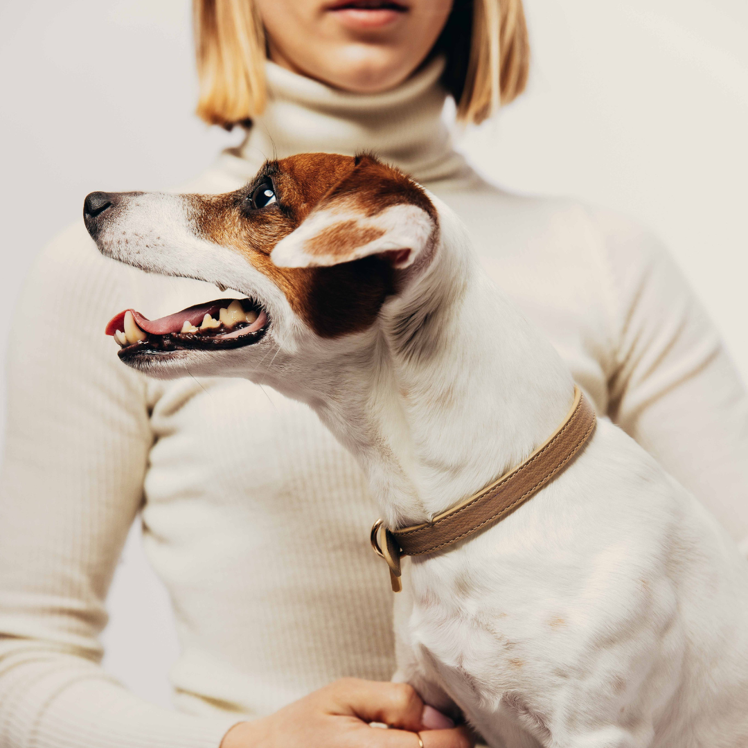 Beige Collar