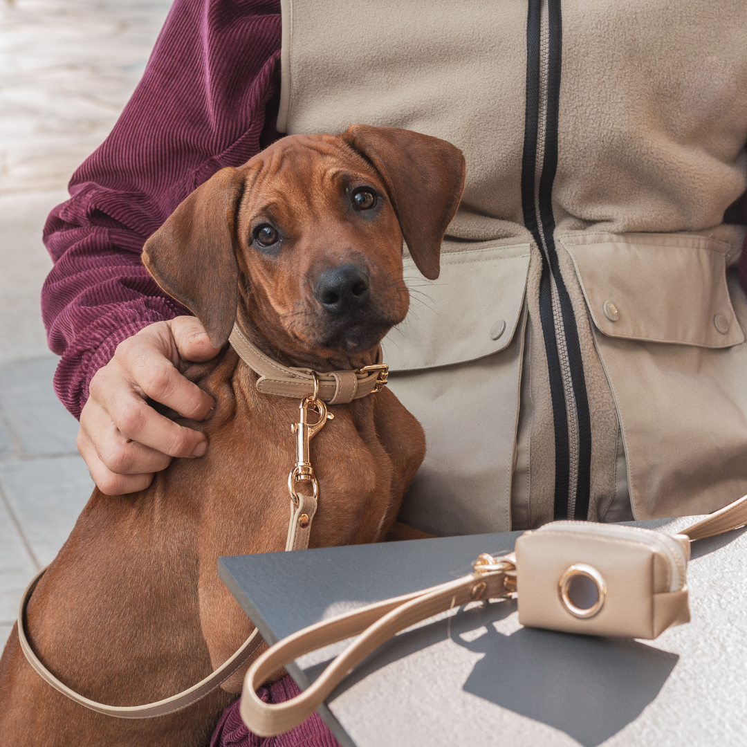 Beige Leash