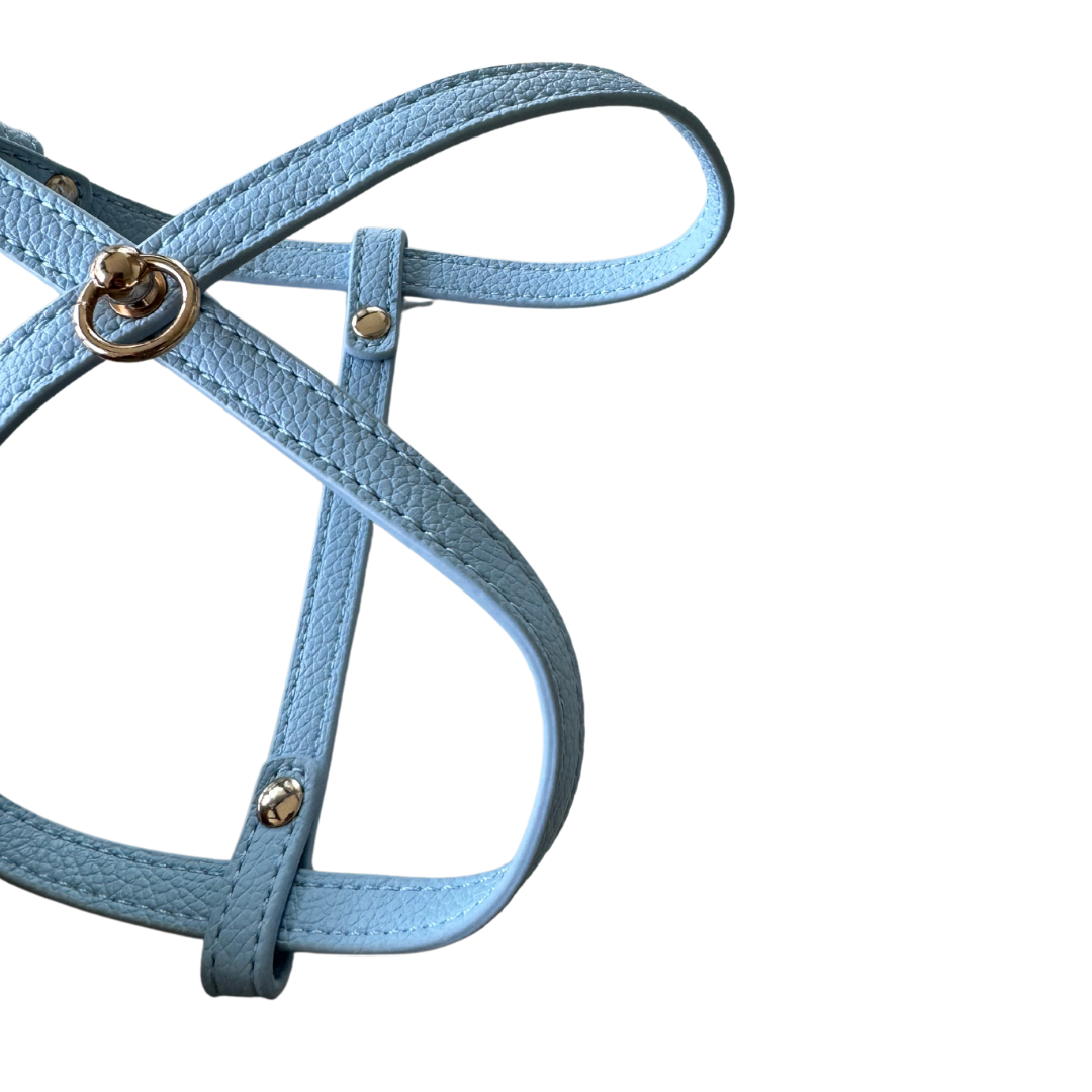 Harness for small dogs