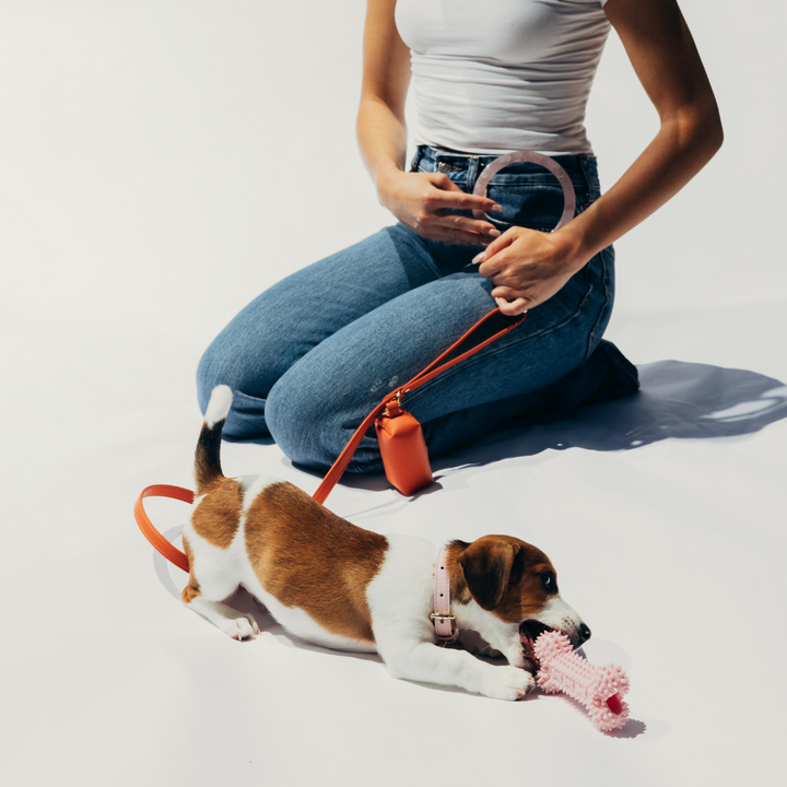 Lola Bangle Leash