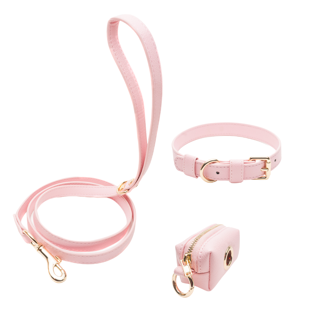 Pink Walking Set Bundle – Collar Variant