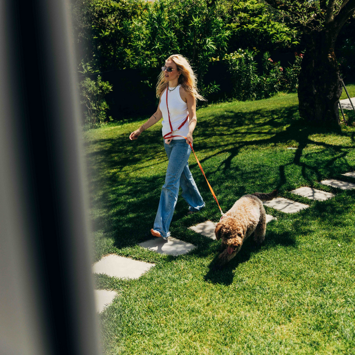 Orange Shoulder Leash