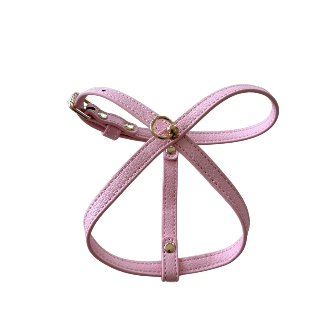 Harness for small dogs