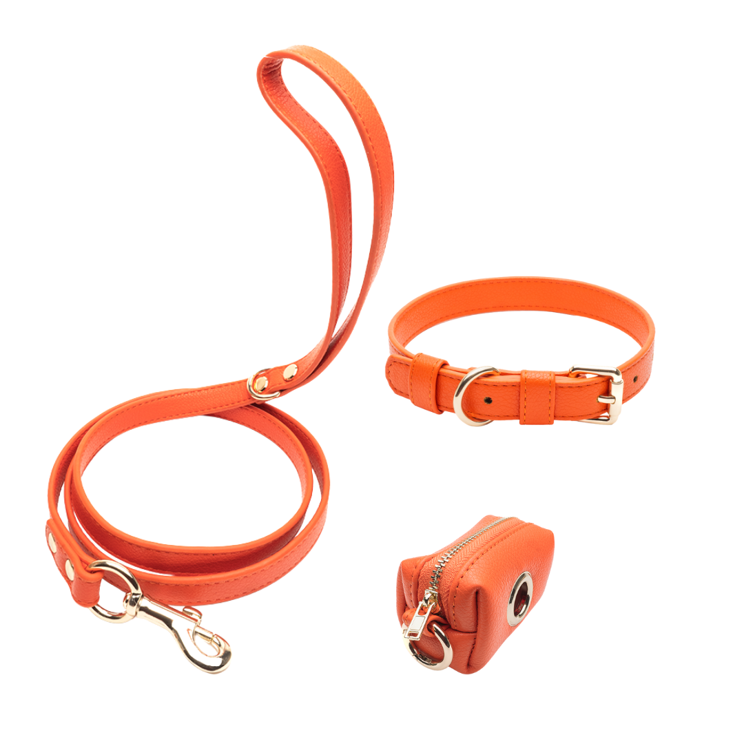 Orange Walking Set Bundle – Collar Variant