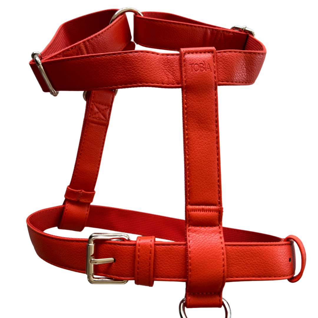 Harness for large dogs