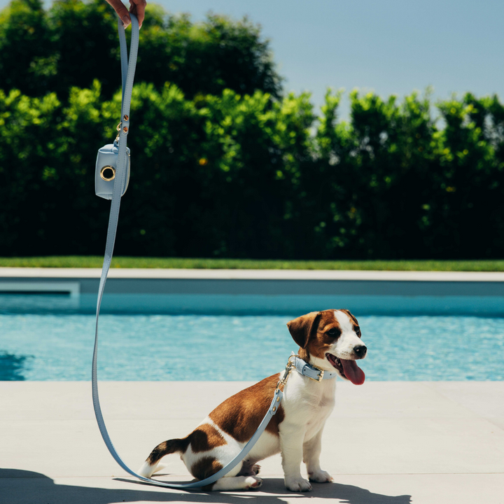 Aqua Leash