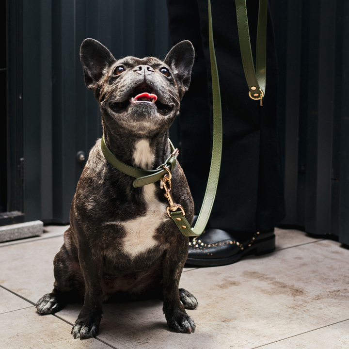 Green Collar