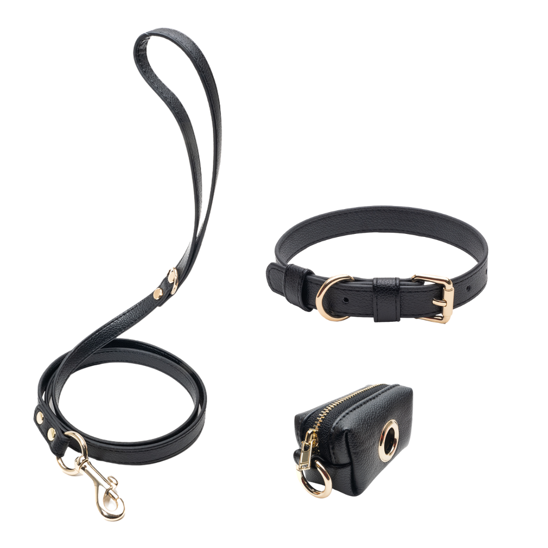 Black Walking Set Bundle – Collar Variant