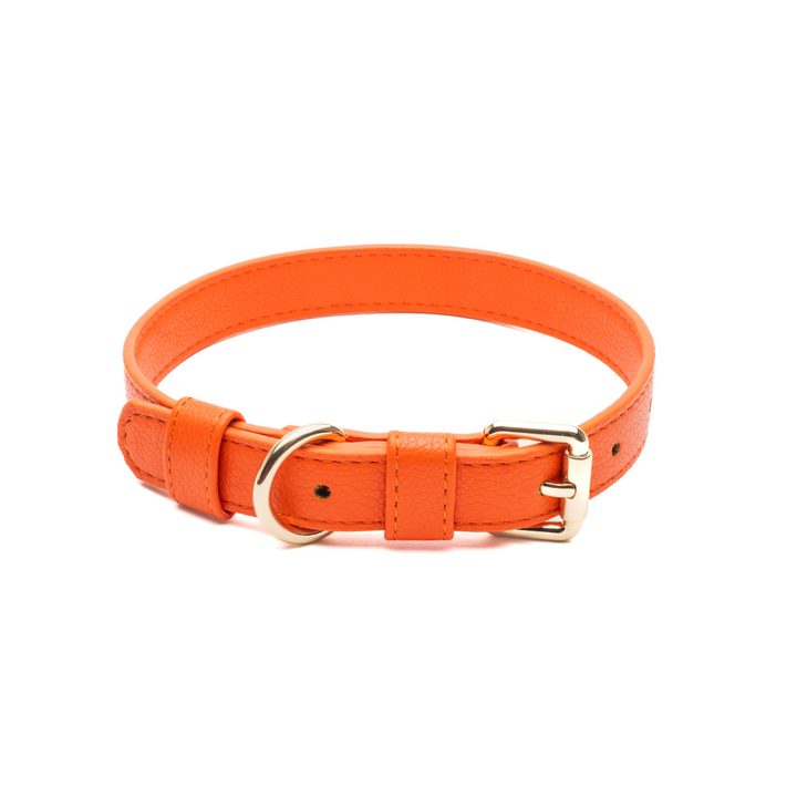 Orange Collar