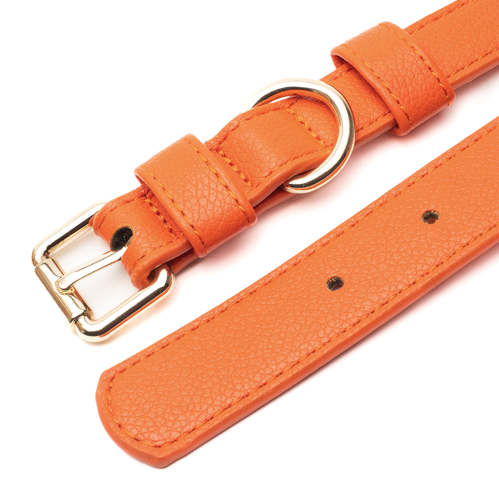 Orange Collar