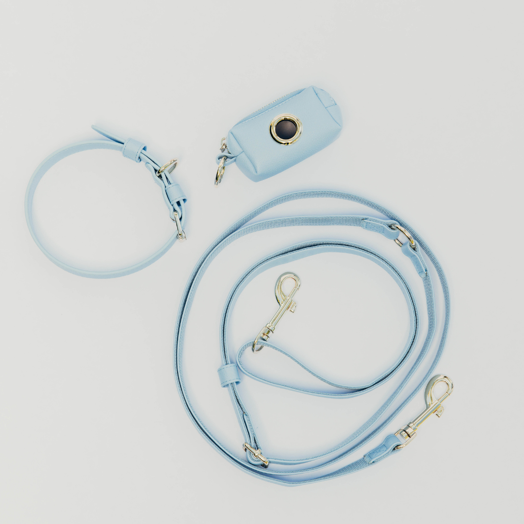 Bundle Flex - Aqua set (shoulder leash + collar + poop bag)