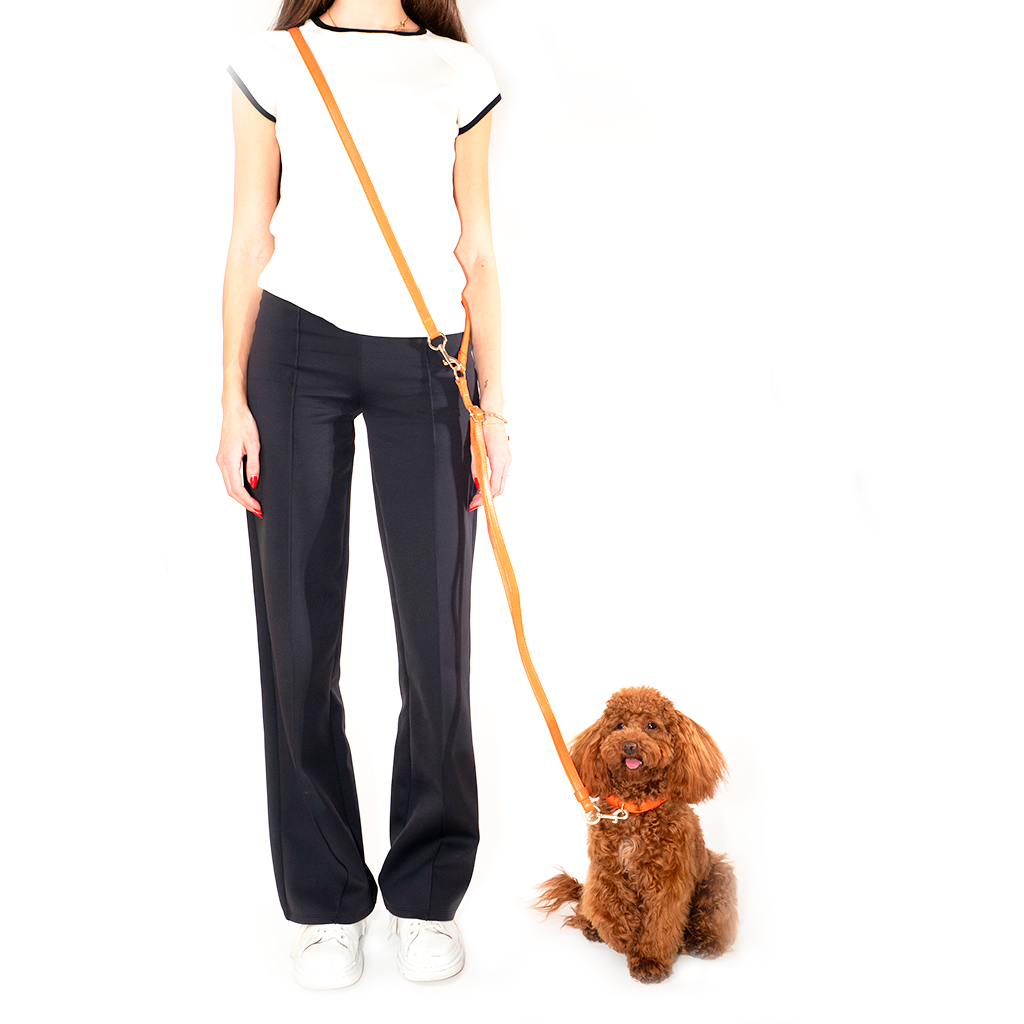 Orange Shoulder Leash