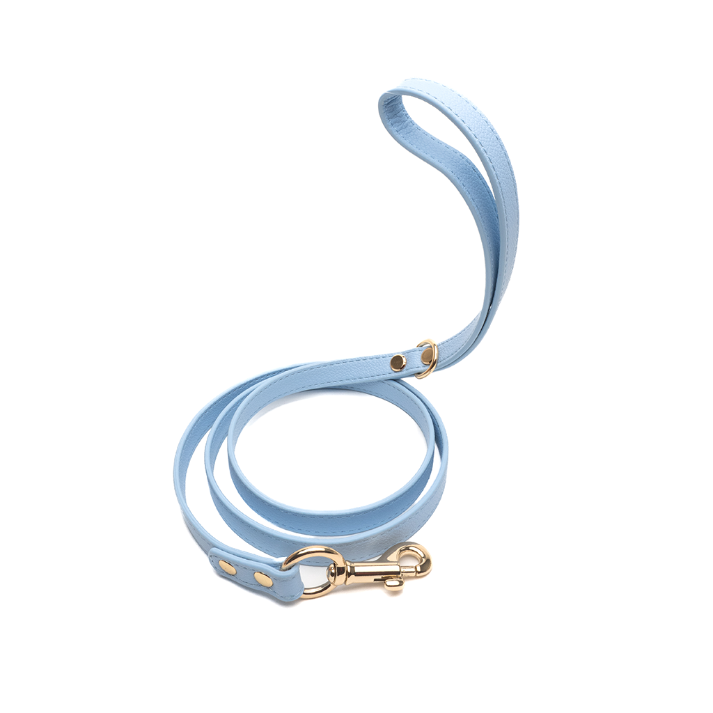 Aqua Leash