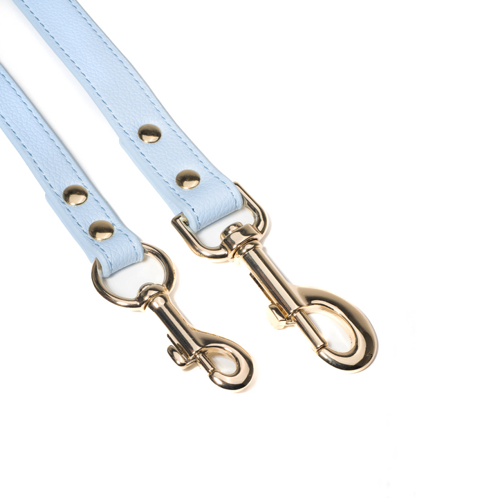 Aqua Leash