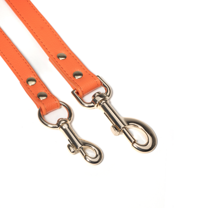 Orange Leash