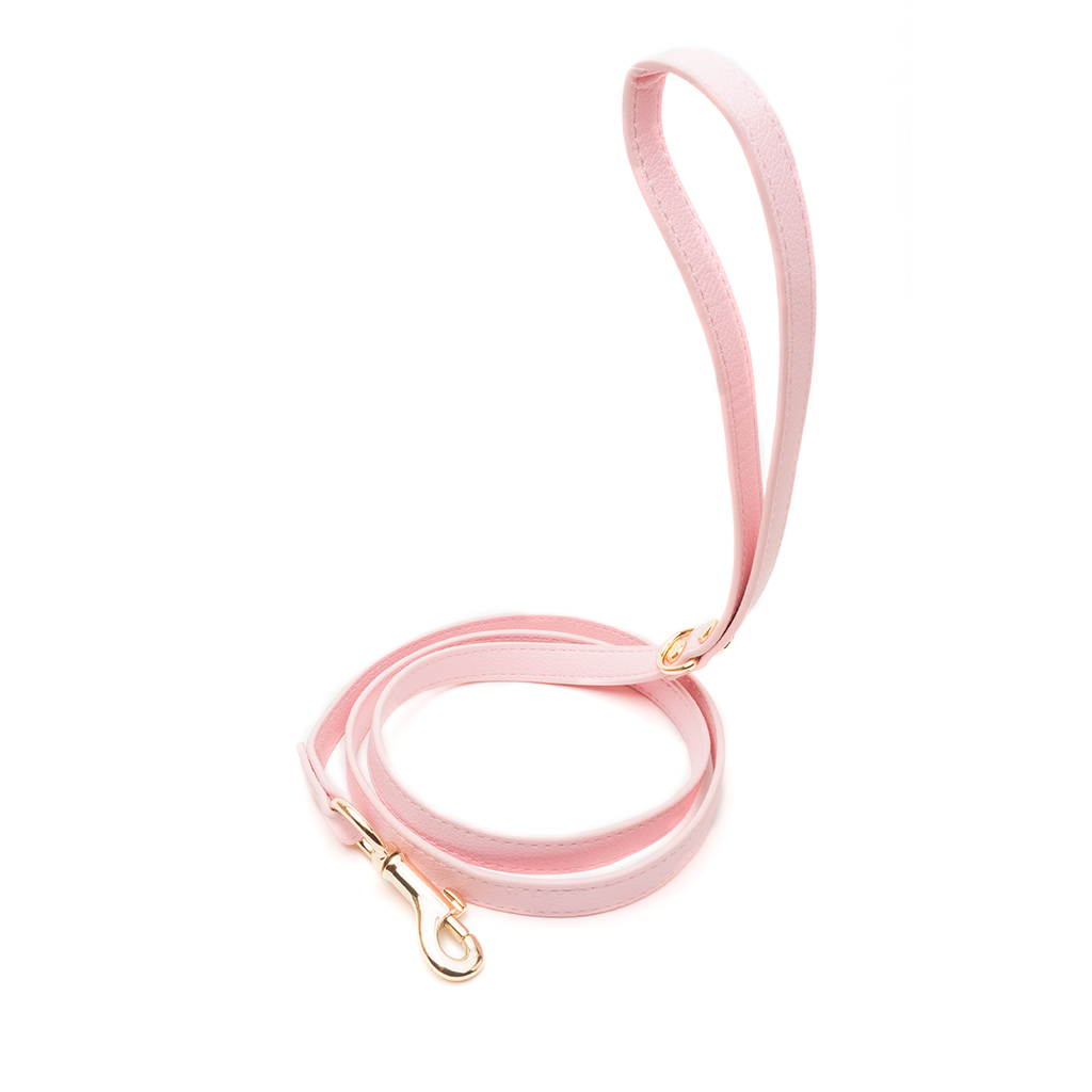 Pink Leash