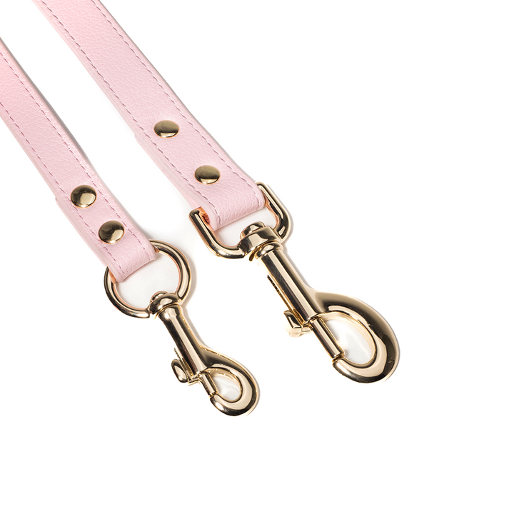 Pink Leash