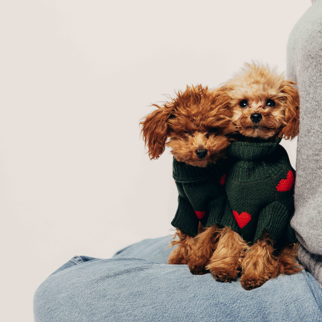 Heart Sweater