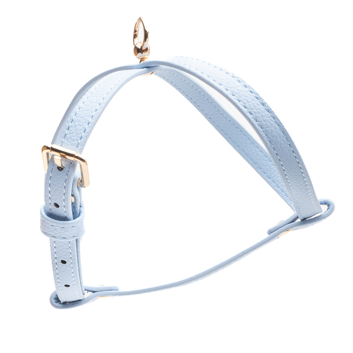 Aqua Small Dog Harness