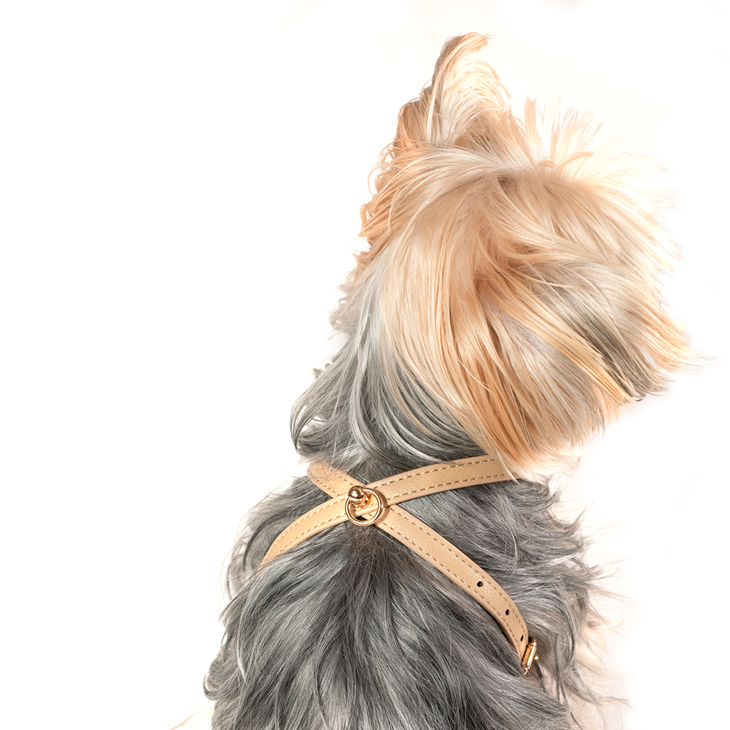 Beige Small Dog Harness