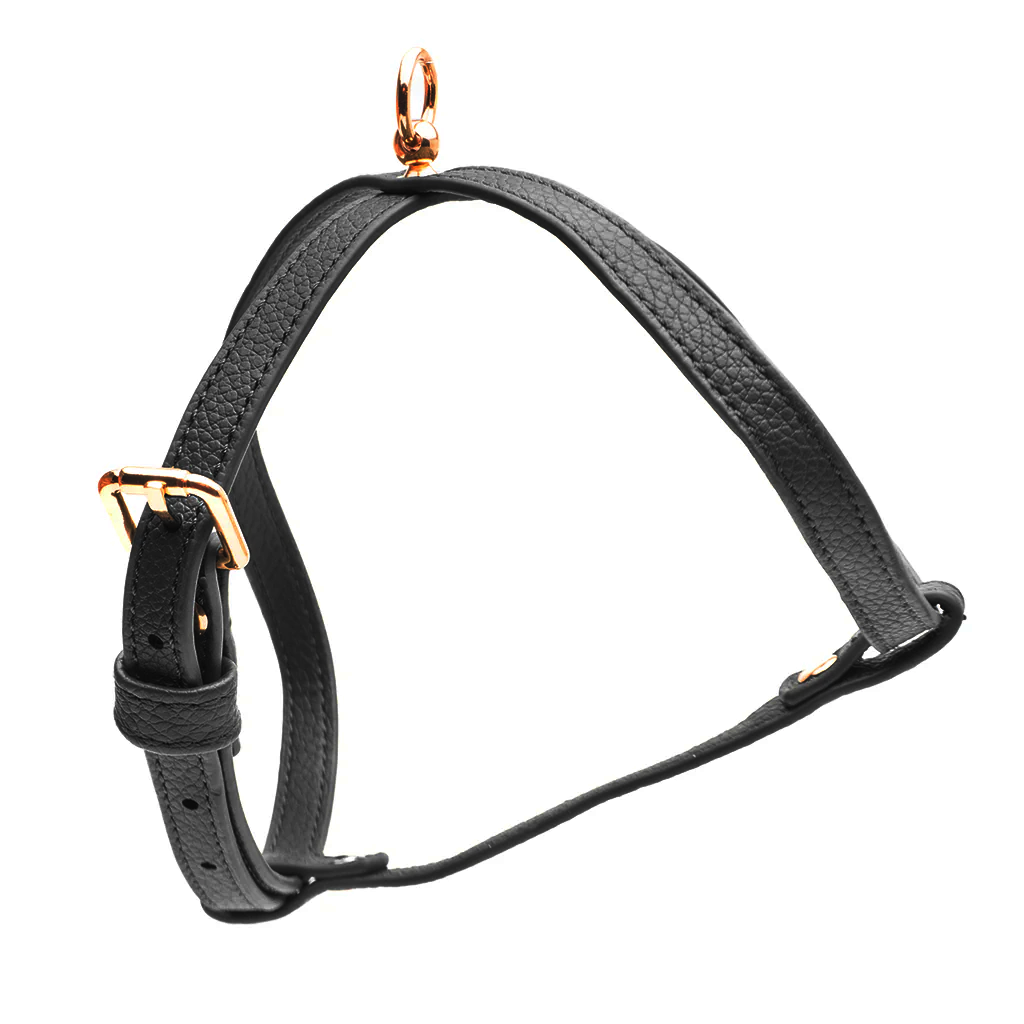 Black Small Dog Harness