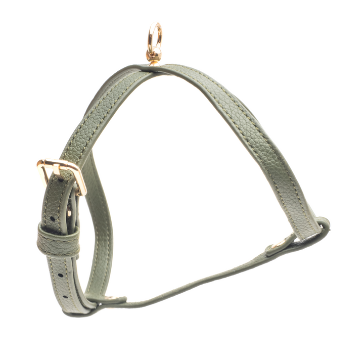 Green Small Dog Harness