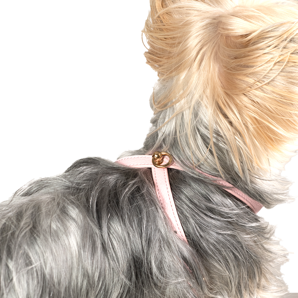 Pink Small Dog Harness