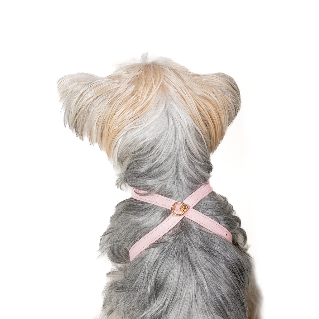 Pink Small Dog Harness