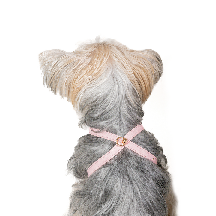 Pink Small Dog Harness