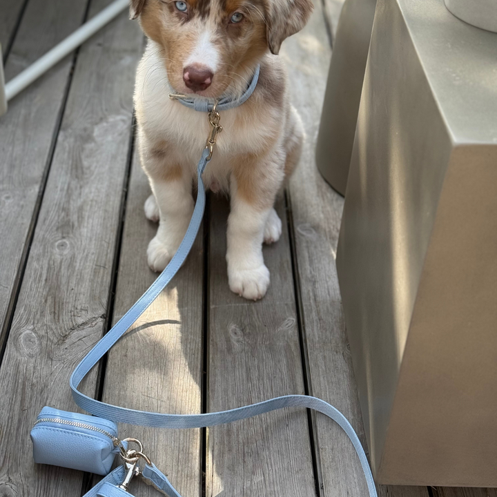 Aqua Shoulder Leash