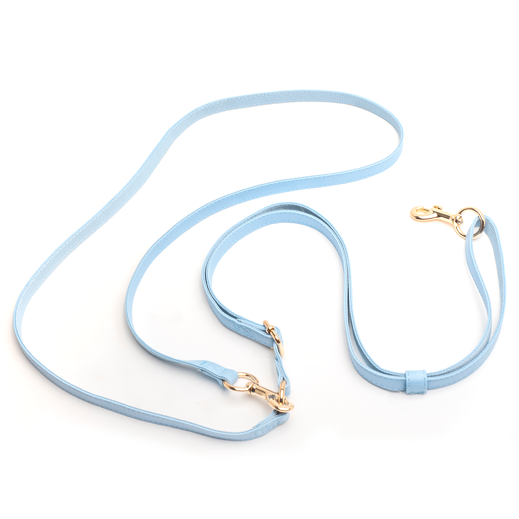 Aqua Shoulder Leash