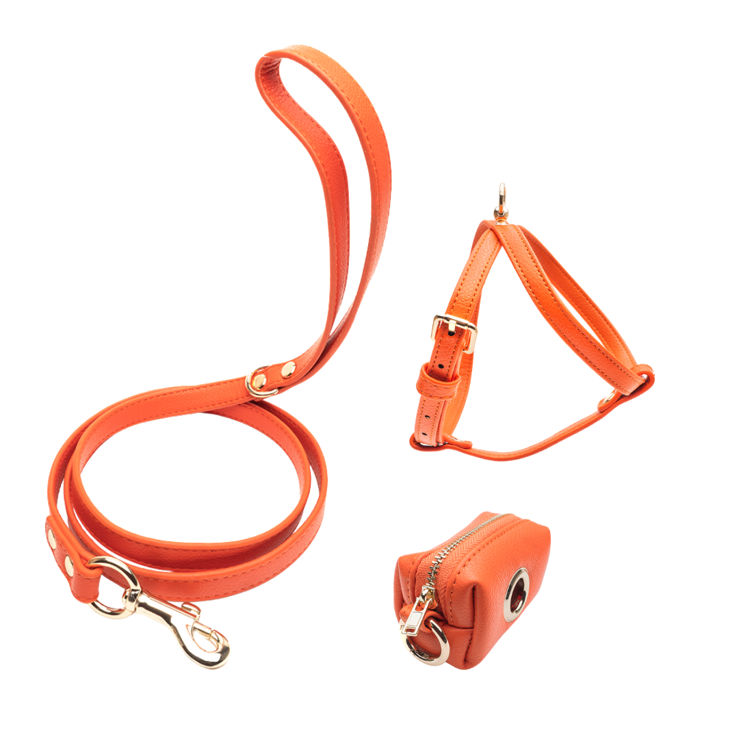 Orange Walking Set Bundle – Small Dog Harness Variant