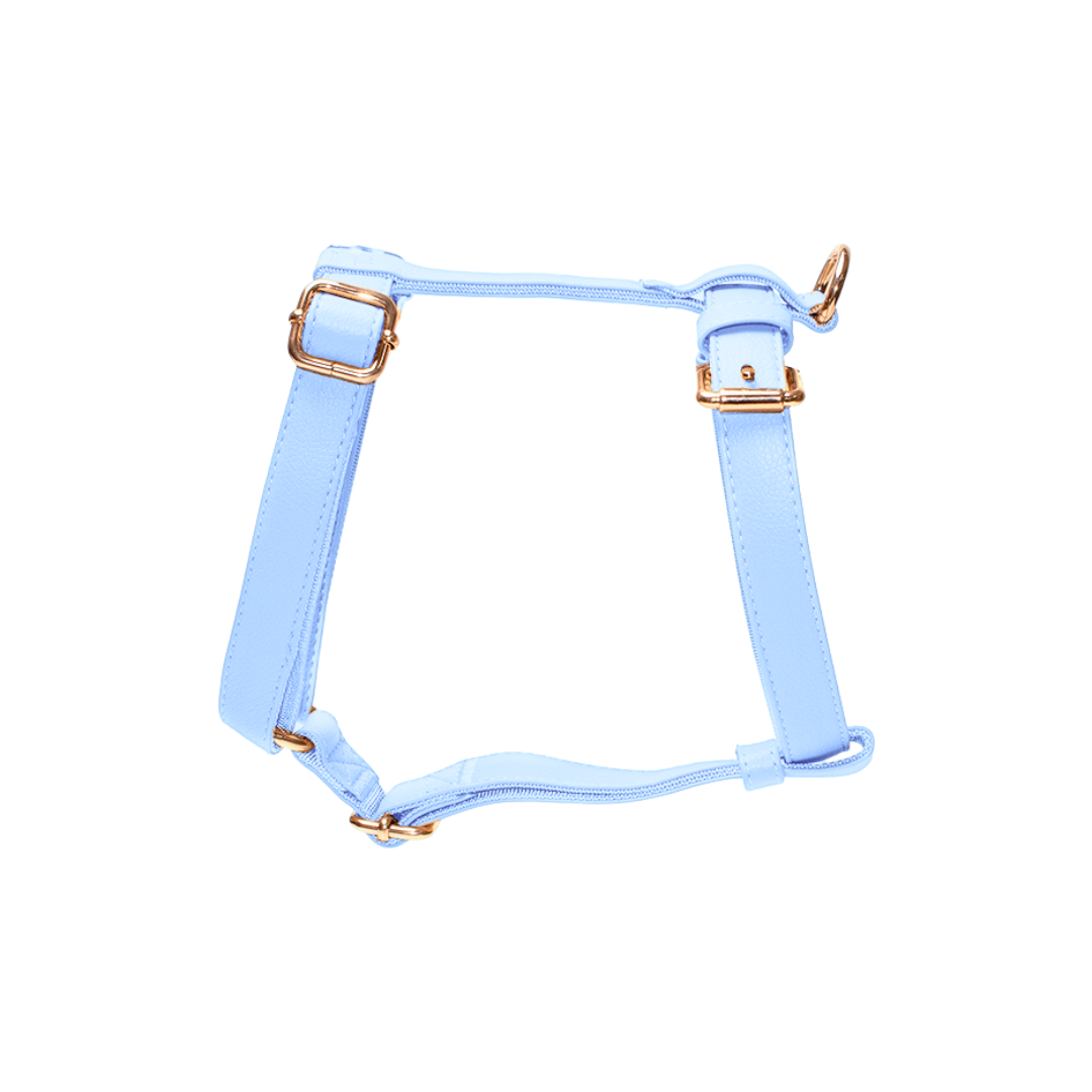 Aqua Harness for Large Dogs