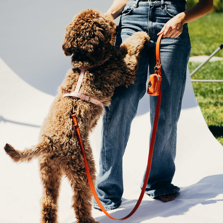 Pink Harness for Large Dogs